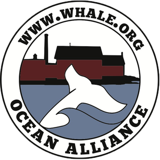 One-time Donation to Ocean Alliance - Beluga Bath Co.